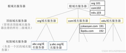 服务基础第一阶段第六节 Windows系统管理基础——DNS部署与安全，助力信息系统运行维护服务