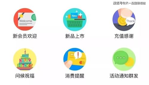 融合短信营销技巧与信息系统运行维护服务，打造稳固顾客关系